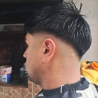 的化身 vichobarberr