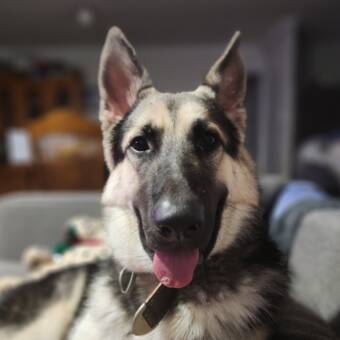 The avatar of Archon