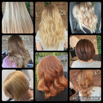 The avatar of Lindsay