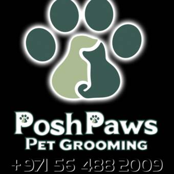 Avatar Posh