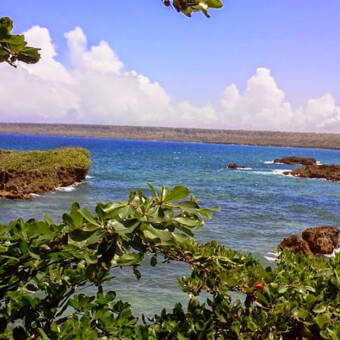 The avatar of Dianel