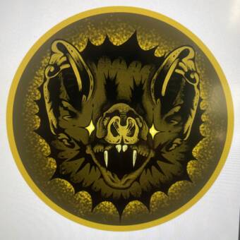 Avataren til Darlene