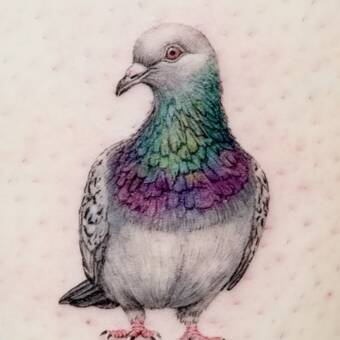 The avatar of Gazelle