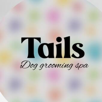 Avatar tillhörande Taylor