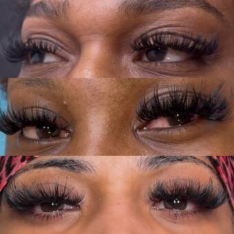 The avatar of Taylor