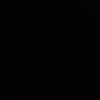 的化身 ERIK (CAUSA)