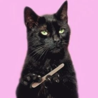 L'avatar appartenant à N