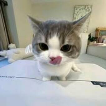 الصورة الرمزية لـ Jena