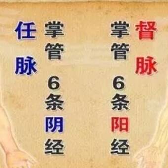 The avatar of a person