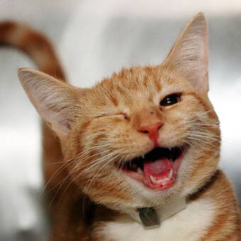 Henkilön Thea avatar