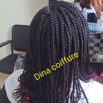 Avatar Dina