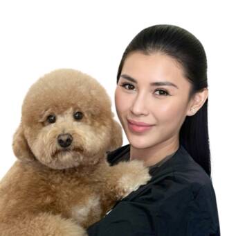 The avatar of Stella