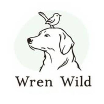 Avatar Wren