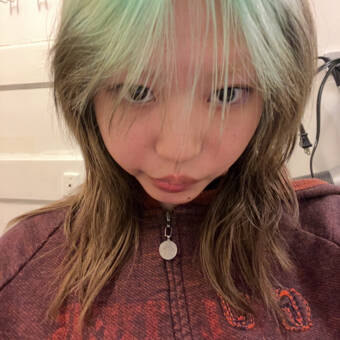 The avatar of Lica