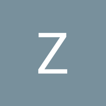 Avatar Zin