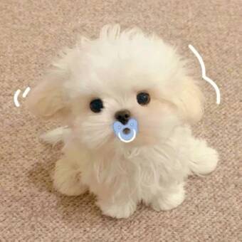 L'avatar appartenant à LULU