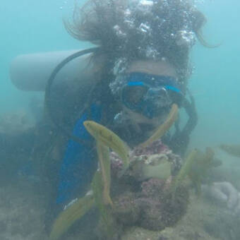 Avatar tilhørende Marilyn