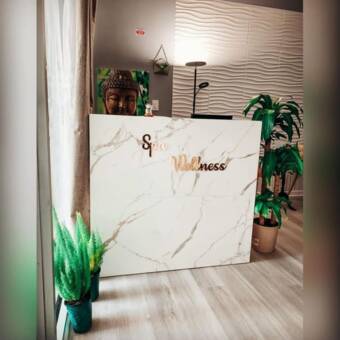 The avatar of Nicolette