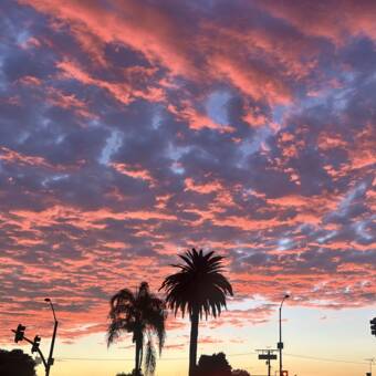 The avatar of Ketherine