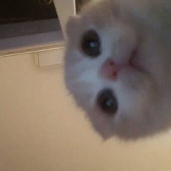 Το avatar του Nagi