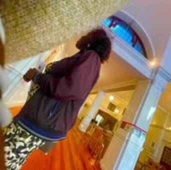 Phoebepseudoportretas