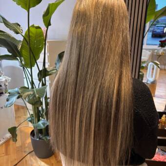 The avatar of Dominika