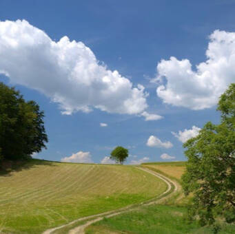 الصورة الرمزية لـ simone