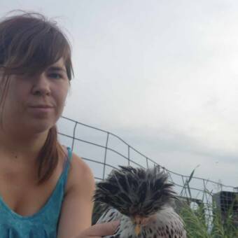 The avatar of Rachel