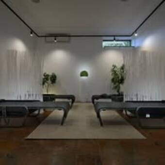 The avatar of Daniela