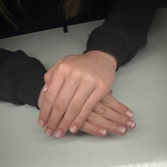 的化身 Ellie - Mae