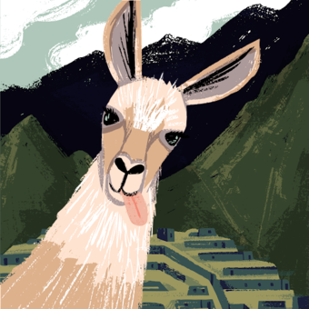 Avataren til Soloyjon