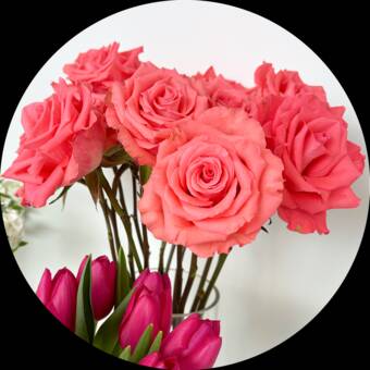 Το avatar του Mizuki