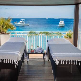 The avatar of Pure Essence