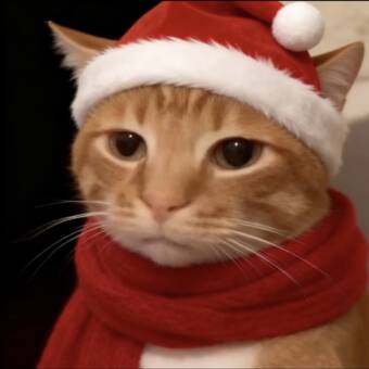 Avatar tilhørende Nora