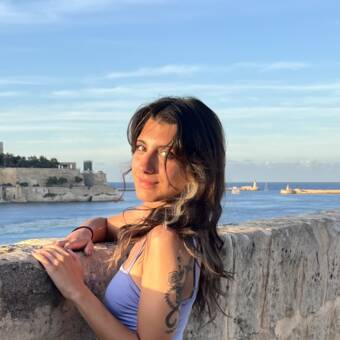 The avatar of Natles