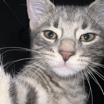 The avatar of Heather