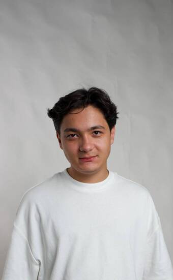 The avatar of a person