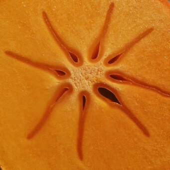 The avatar of Милица