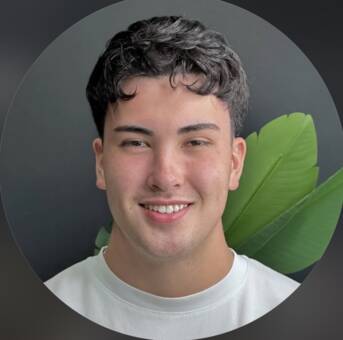 The avatar of a person
