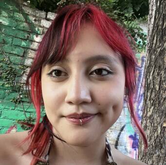 The avatar of a person