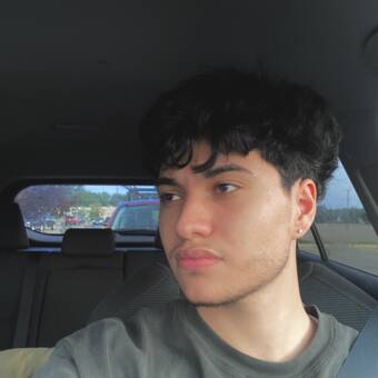 The avatar of a person