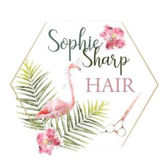 的化身 Sophie