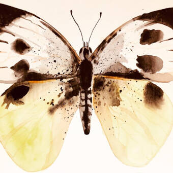 The avatar of Pieris Elina