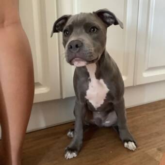 الصورة الرمزية لـ Dina