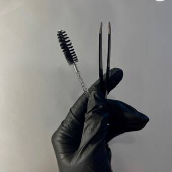 The avatar of Lissett