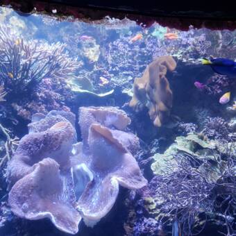 Avatar tilhørende Massage Therapist