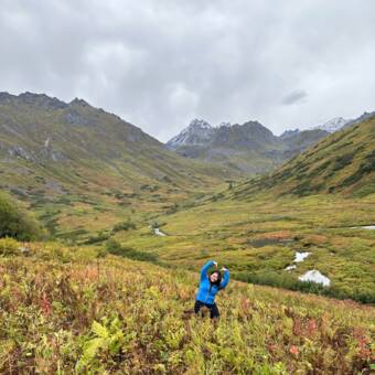 次のアバター： ANN