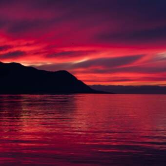 Melissapseudoportretas