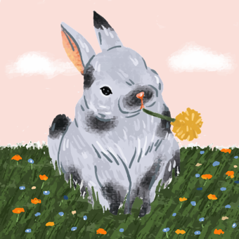 The avatar of Yuliia