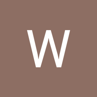 The avatar of WiSa